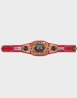 chicago bulls wwe legacy title belt