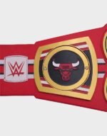 nba chicago bulls wwe title